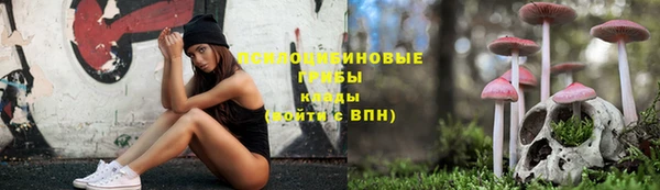 экстази Богородск