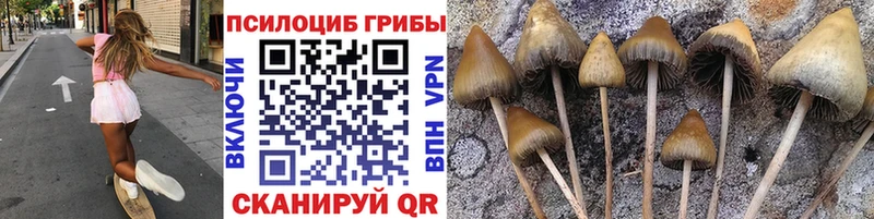 Купить где  Сорочинск  Псилоцибиновые грибы GOLDEN TEACHER 